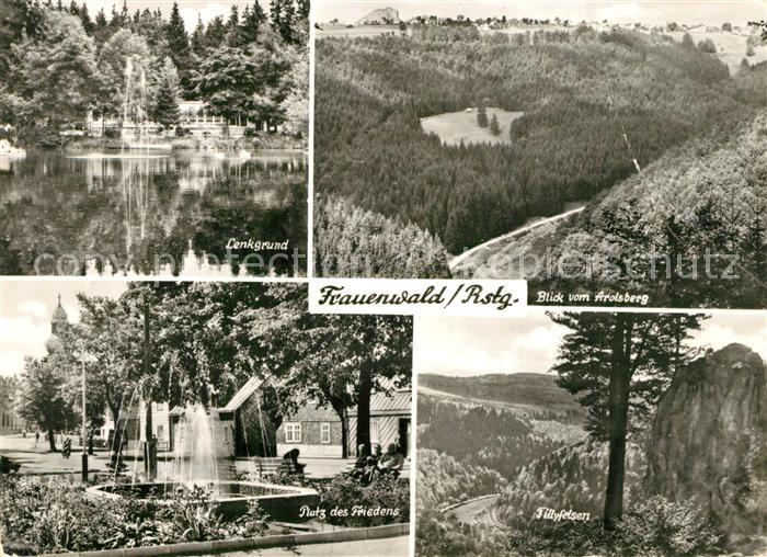 Frauenwald Thueringen Lenkgrund Teich Landschaftspanorama Blick vom Arolsberg Ti
