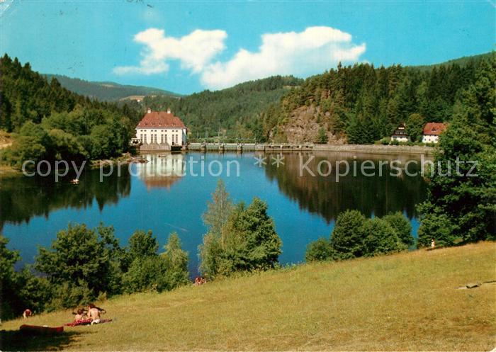 Hoellensteinsee Uferpartie am See Bayerischer Wald