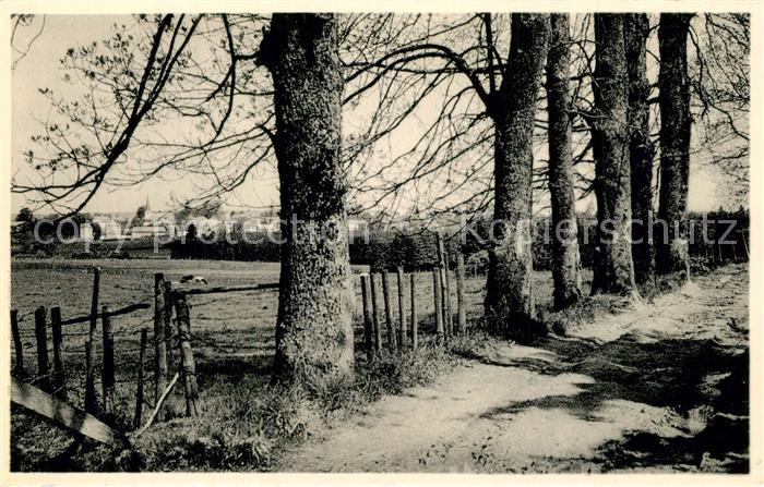 Beho Une jolie promenade