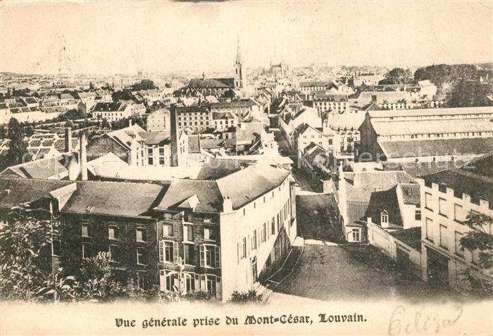 Louvain Flandre Vue generale prise du Mont Cesar