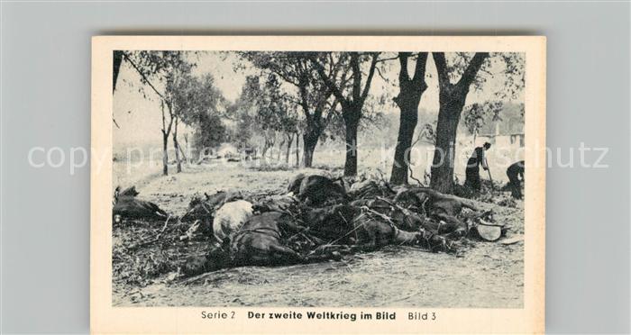 Militaria Deutschland WK2 Von N?rnberg bis Stalingrad Blitzkrieg gegen Polen Kes