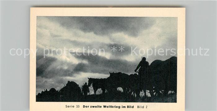 Militaria Deutschland WK2 Von Stalingrad bis N?rnberg R?ckzug auf
