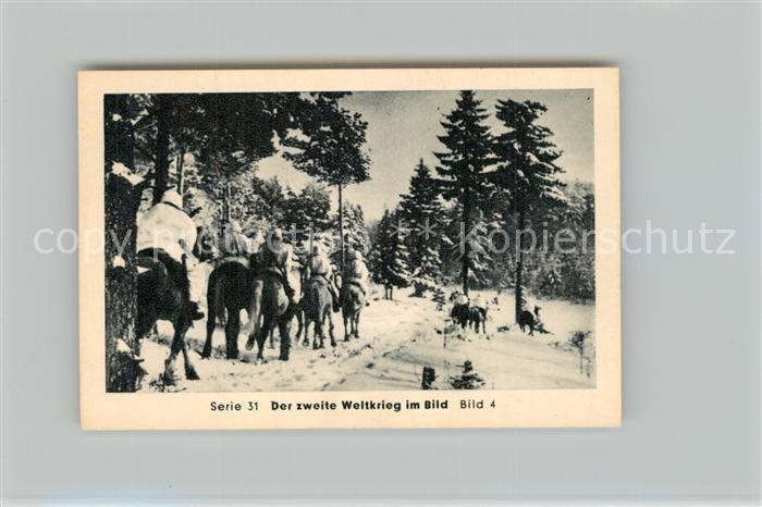 Militaria Deutschland WK2 Von Stalingrad bis N?rnberg Wende des Krieges Partisan