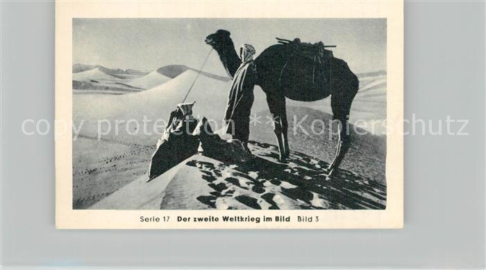 Militaria Deutschland WK2 Von N?rnberg bis Stalingrad Afrika Krieg in der W?ste