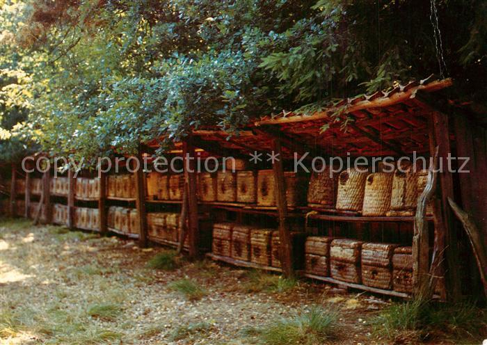 Imkerei V?lker Korb-Bienenstand Hermannsburg