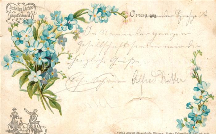 Einbeck Niedersachsen Deutschland Fahrraeder August Stukenbrok Fahrradhaus Blume