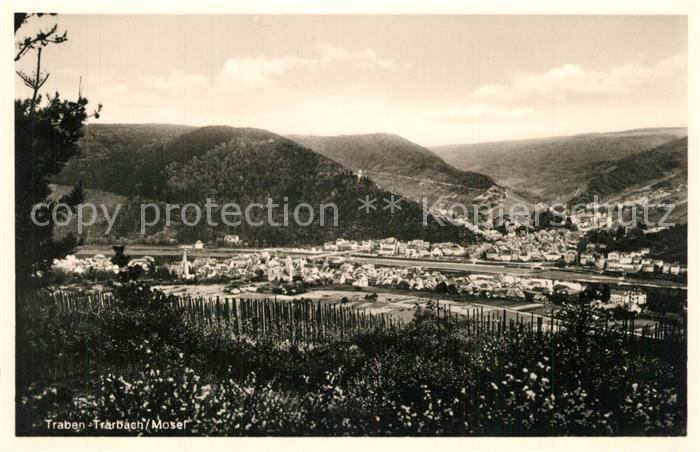 Traben-Trarbach Panorama Moselpartie