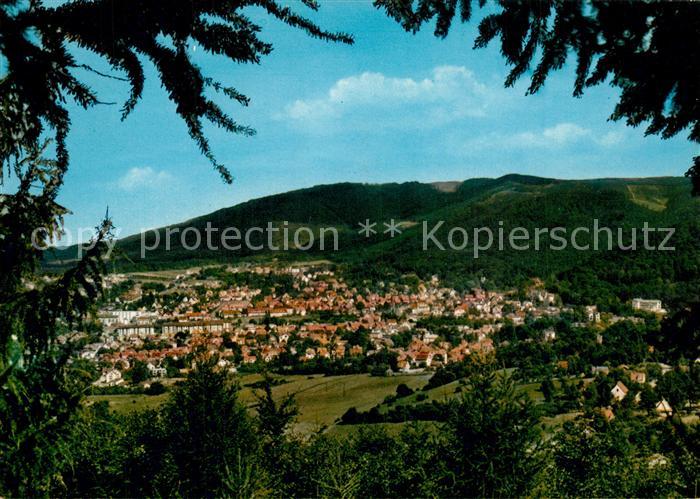 Bad Harzburg Panorama