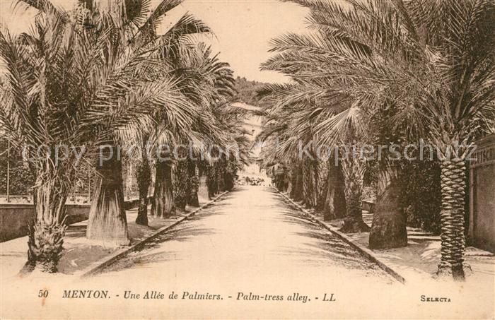 Menton Alpes Maritimes Une Allee de Palmiers
