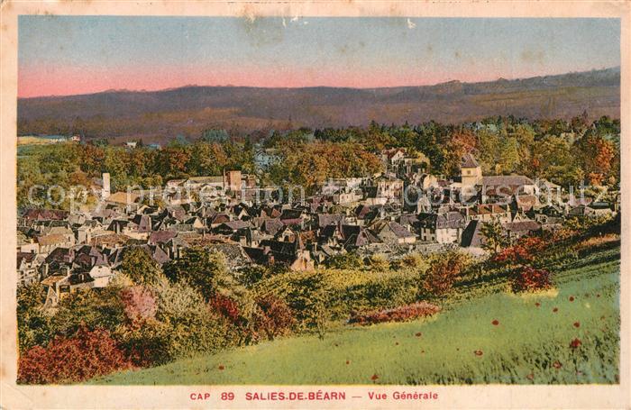 Salies-de-Bearn Panorama