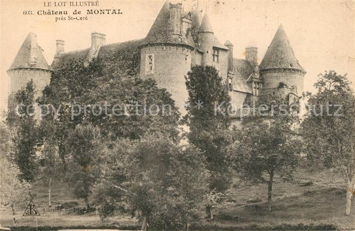 Saint-Cere Chateau de Montal