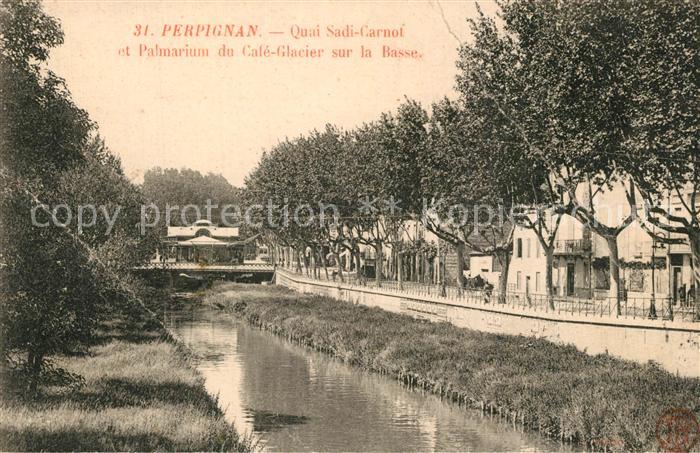 Perpignan Quai Sadi Carnot Palmarium du Cafe Glacier sur la Basse