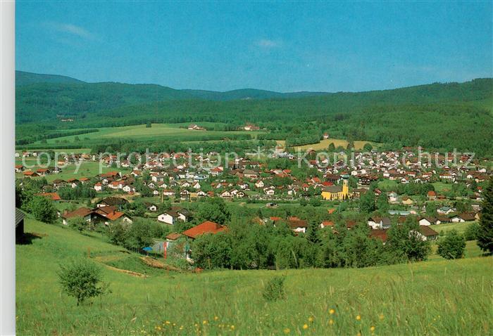 Frauenau Panorama