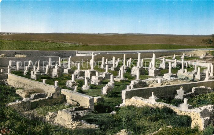 Carthage Karthago Damous Karita Basilique et Rotonde
