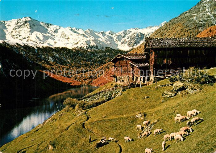 Schnalstal Tisenhof Berghof Bergsee Schafherde