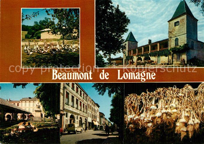 Beaumont-de-Lomagne Vue partielle