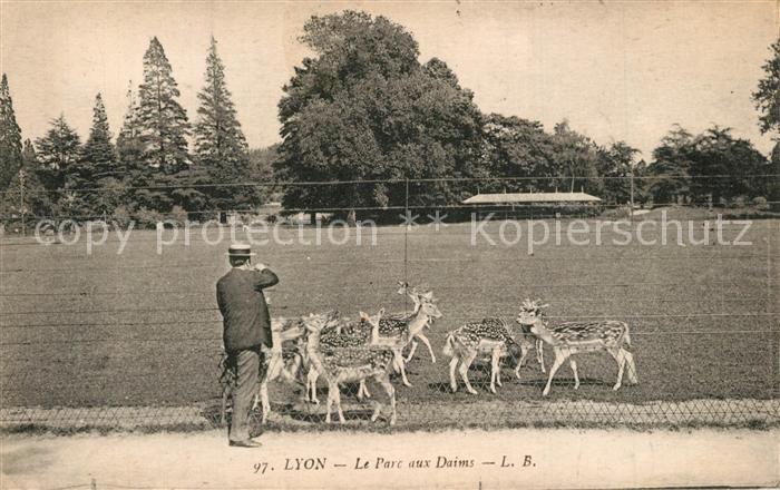 Lyon France Parc aux Daims
