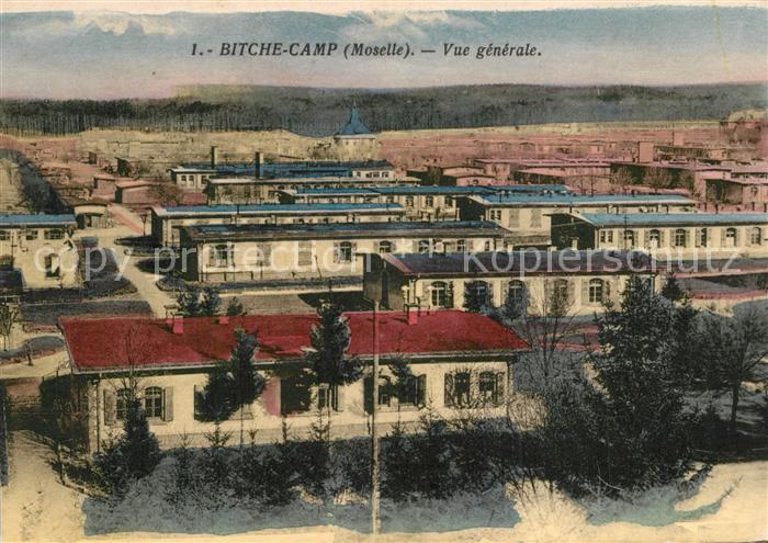 Bitche Moselle Bitche Camp Vue generale