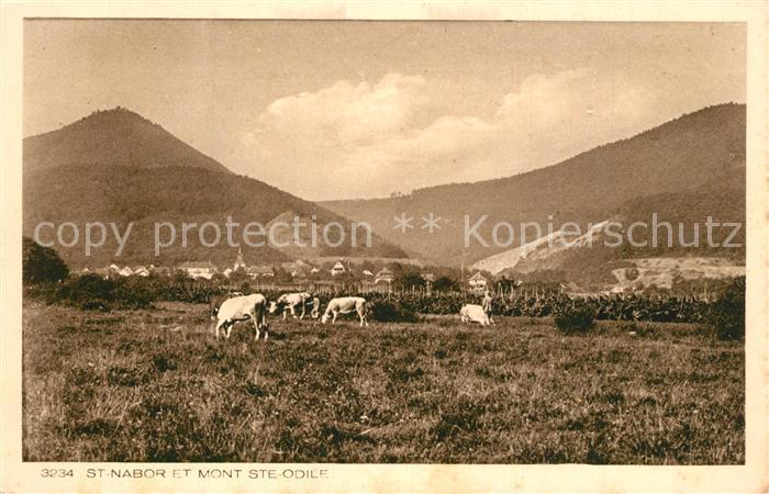 Saint-Nabor Mont Ste Odile