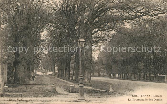 Courtenay Loiret La Promenade des Ormes