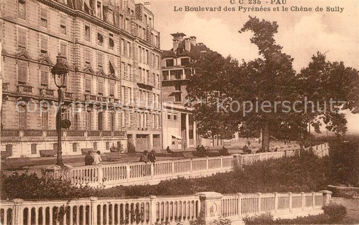 Pau 64 Le Boulevard des Pyrenees et le Chene de Sully