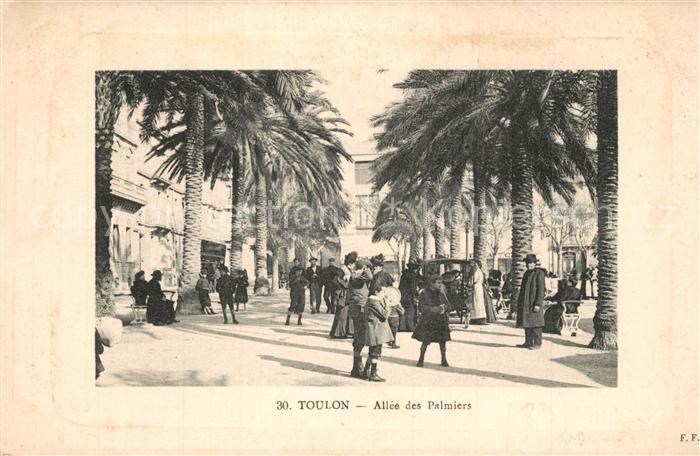 Toulon Var Allee des Palmiers