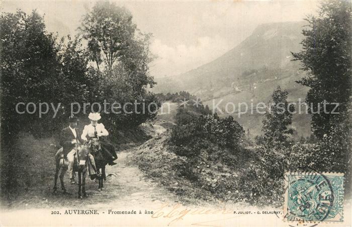 Auvergne Region Promenade a âne