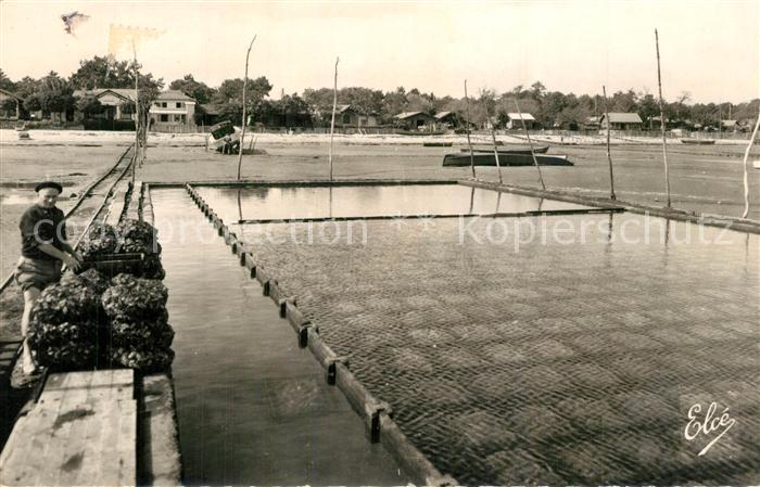 Bassin d Arcachon Réserve a Huîtres