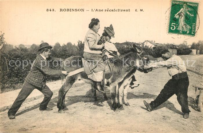 Robinson Plessis Ane récalcitrant