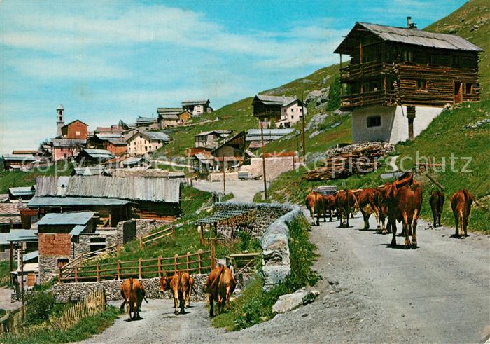 Saint-Veran Le plus haut village d Europe des vaches