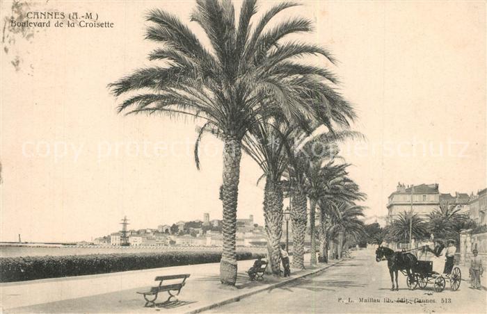 Cannes Alpes-Maritimes Boulevard de la Croisette des palmiers