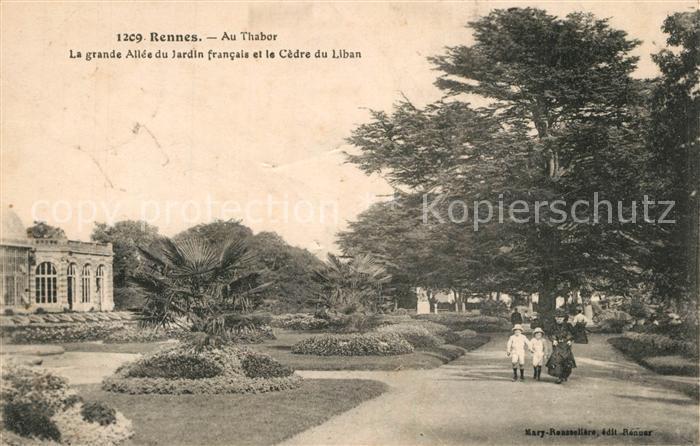Rennes Ille-et-Vilaine Au Thabor Grande Allée du Jardin francais Cèdre du Liban