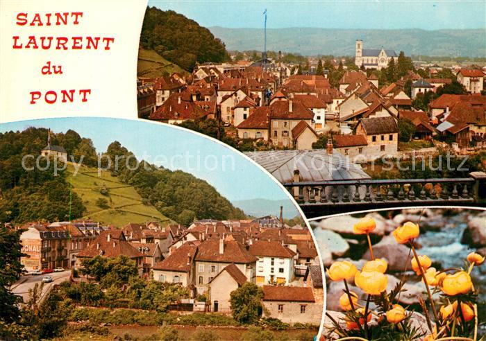 Saint-Laurent-du-Pont Vues d ensemble des fleurs