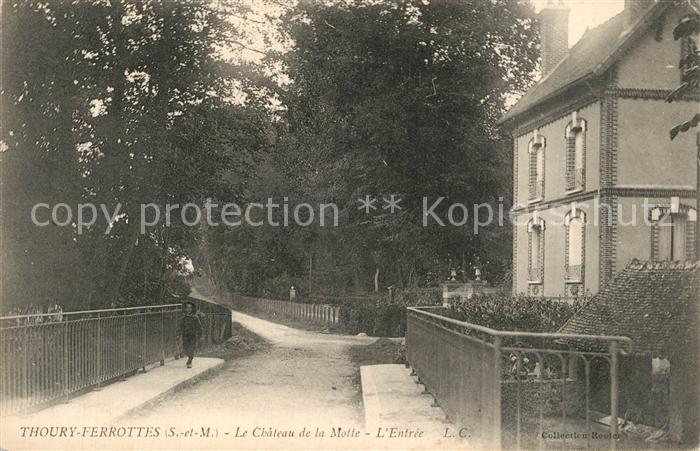 Thoury-Ferottes Le Chateau de la Motte l'Entree