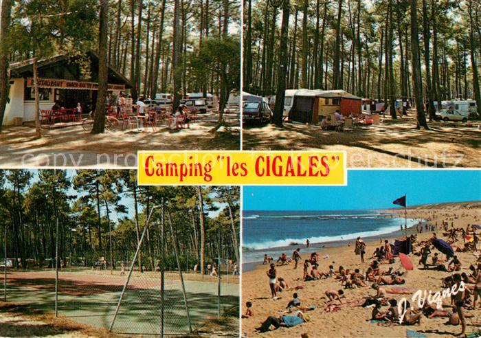 Moliets Plage Camping les Cigales Le Camping sous les