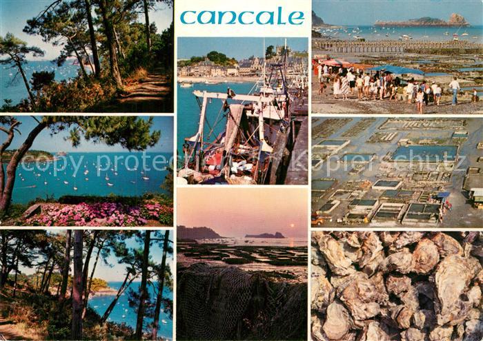 Cancale Le sentier des douaniers la baie de Port Mer le port de la Houle et les