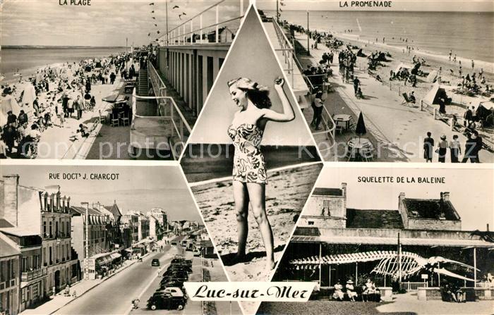 Luc-sur-Mer La Plage La Promenade Rue Docts J Charcot Squelette de la Baleine