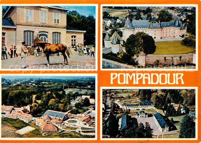 Pompadour Haras de Pompadour presentation d’etalon Le Chateau Club Mediterranee