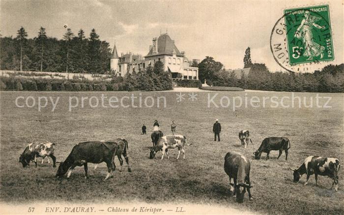 Auray Chateau de Kérisper Pâturage des vaches