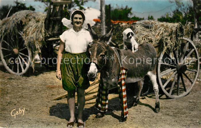 Ile-de-Re Ane a Culotte