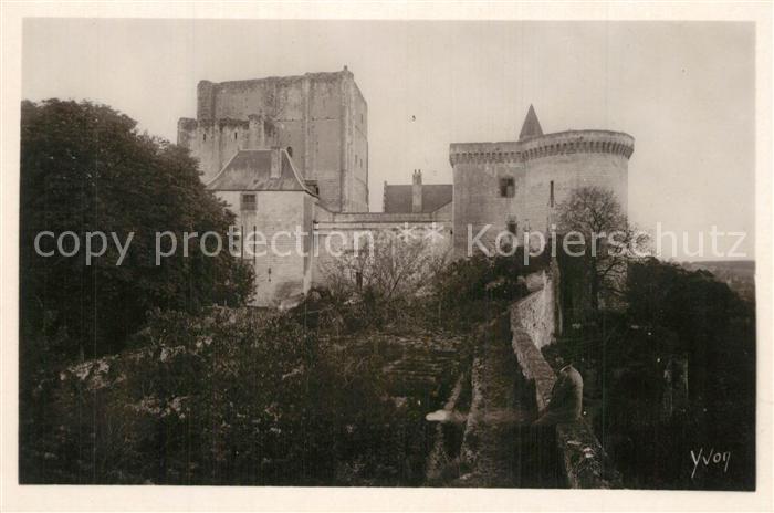 Loches Indre et Loire Chateau de Loches Le Donjon et la Tour Louis XI