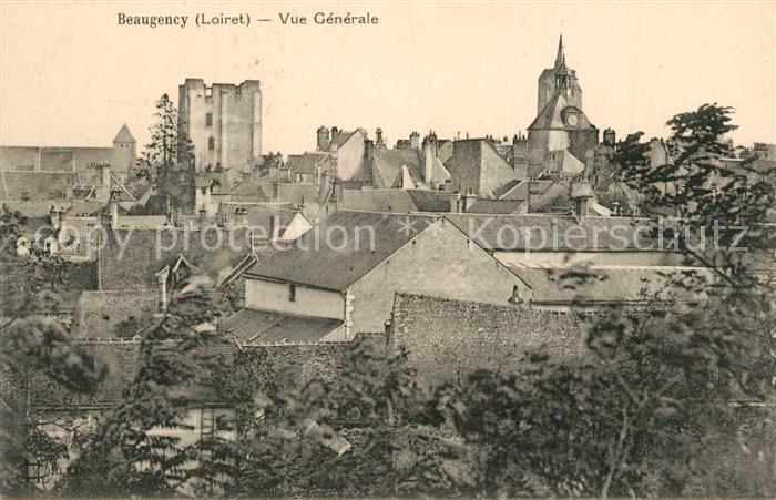 Beaugency Vue generale