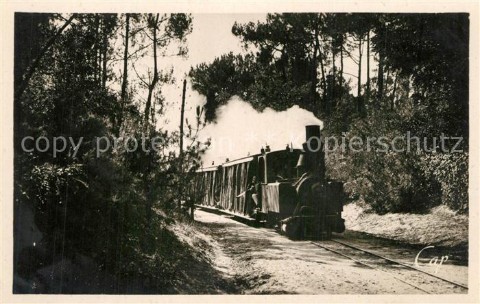 Saint-Palais-sur-Mer Le Tram en foret