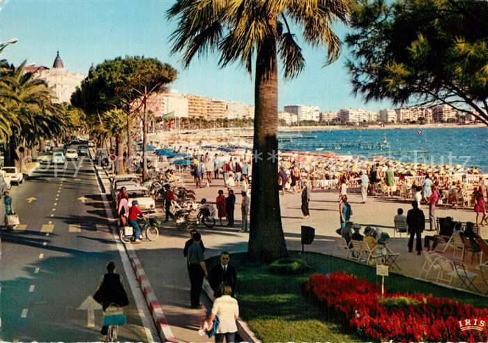 Cannes Alpes-Maritimes La Croisette