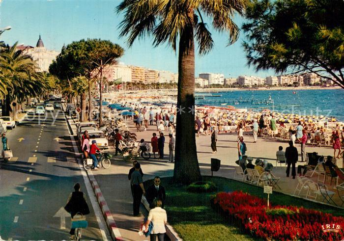 Cannes Alpes-Maritimes Le Croisette