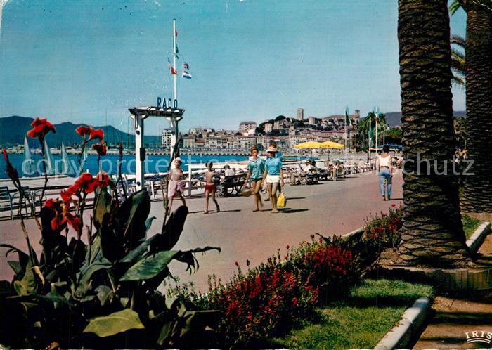Cannes Alpes-Maritimes Parterres fleuris sur la Croisette