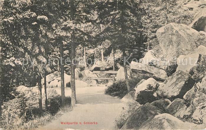 Schierke Harz Panorama