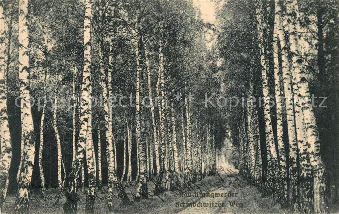 Rauchfangwerder Schmoeckwitzer Weg