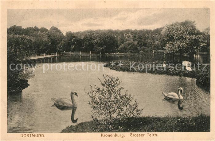Dortmund Kronenburg Grosser Teich Schw?ne