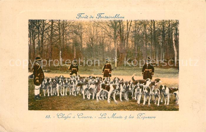Fontainebleau Seine et Marne Foret Chasse a Courre Meute et les Pisq